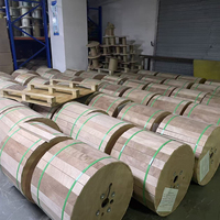 Cable de Fibra Óptica Tipo Arco de Grado Telecomunicaciones, de Uno o Dos Núcleos, para Interiores y Exteriores, Línea de Extensión FTTH para Banda Ancha Doméstica