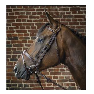 Anatomic Bridle with Slightly Contoured Padded Fancy <b>Stitched</b> Leather for Western English Saddle <b>Accessories</b> Featuring Nose Brow - Product Image 4