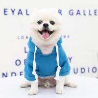 Offre Spéciale personnalisé mode doux personnalisé designer chien vêtements Pet chien manteau veste confortable sweat chien à capuche