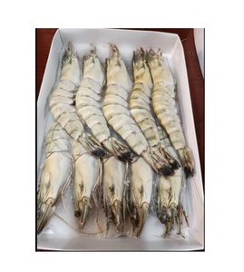 Camarones Tigre Negros de Primera Calidad, Congelados, Capturados en el Campo, de Gran Tamaño, Ideales para el Comercio Internacional - Product Image 3