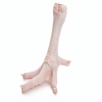 Pieds, ailes, cuisses et têtes de poulet halal surgelés de qualité supérieure, transformés IQF, emballage de qualité export