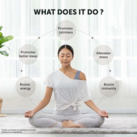 OEM/ODM Poudre de racine d'ashwagandha 100% naturelle de qualité alimentaire pour le soulagement du stress et le soutien immunitaire