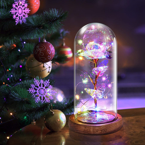 Regali per la festa della mamma Bella <span class=keywords><strong>scatola</strong></span> di rose Galaxy San Valentino Fiore di rosa <span class=keywords><strong>in</strong></span> cupola di vetro con LED - Product Image 5