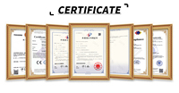 Autocollant LED pour bouteille de vin Longstargift, promotion spiritueux, présentoir de boissons haut de gamme, PET haute luminosité