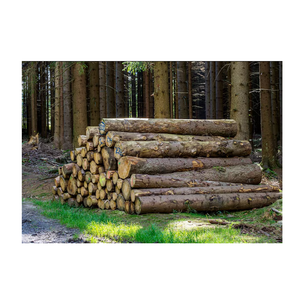 Bûches rondes en bois d'épicéa à prix attractif - Product Image 6
