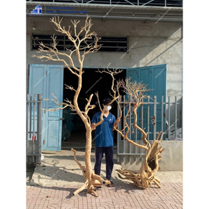 ไม้2025ขนาดใหญ่ที่ยั่งยืนสำหรับตู้ปลาและอุปกรณ์เสริมจากผู้ผลิตเวียดนาม - Product Image 3