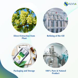 Aceite de semilla de uva 100% puro y natural al por mayor a granel precio más bajo embalaje personalizado - Product Image 4