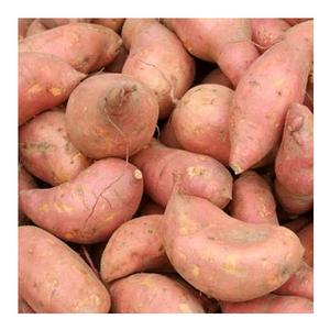 Camote Morado Orgánico (Portugal) Cultivo Fresco 99% Maduración Cosecha Más Reciente 20kg - Product Image 5