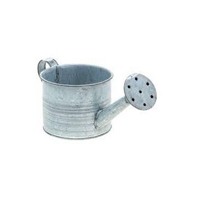 New Arrival Hot Selling Metal <b>Galvanized</b> Water <b>Cans</b> for Garden Decoration at <b>Wholesale</b> Price From India - Product Image 6
