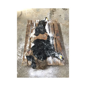 Piel de Cabeza de Vaca Salada Húmeda - Product Image 5