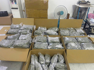 BEST SELLER Feuilles de papaye séchées coupées, utilisées pour la production de boissons et les besoins quotidiens de brassage, avec une offre stable du Vietnam - Product Image 4