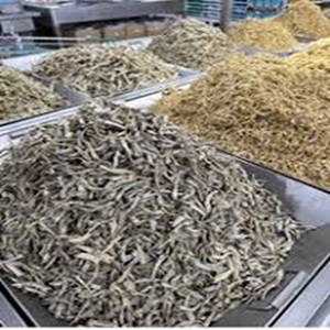 Conservation plus longue - Anchois séchés au prix de gros - Product Image 2