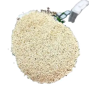 Semillas de Sésamo Blanco Crudo de Primera Calidad, Secas y Naturales, Etíopes, Humera, Bolsas de 25 y 50 kg, Almacenamiento a Temperatura Ambiente, Sabor Dulce, Larga Vida Útil - Product Image 2