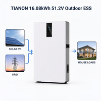Batterie solaire domestique autonome 16 kWh sans entretien, extérieure IP65, hybride CAN BMS LiFePO4 314 Ah 51,2 V basse tension