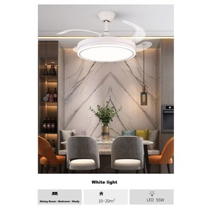 Silent DC Motor 21" <b>Ceiling</b> Fan <b>LED</b> <b>Light</b> Low Profile <b>Flush</b> <b>Mount</b> Remote Control Energy Efficient 3 Color Tones CRI 90 Bedroom - Product Image 3