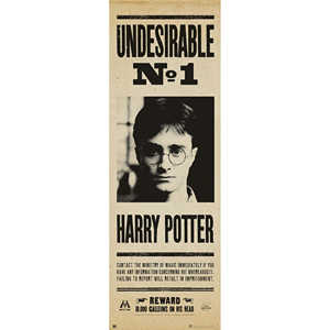 Póster de Pared de Harry Potter, Langbahn Undesirable No. 1 - Product Image 1