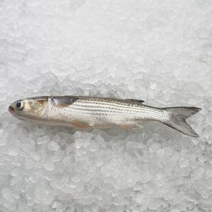 Mullet gris de Frozen, conjunto redondo/mojado/en oferta - Product Image 5