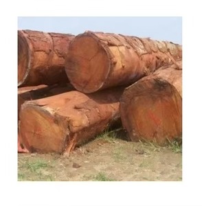 Doussie ไม้ซุง-วัตถุดิบคุณภาพสูงภาษีต่ำ-pachyloba, doussie, Tali, Okan ไม้ - Product Image 1