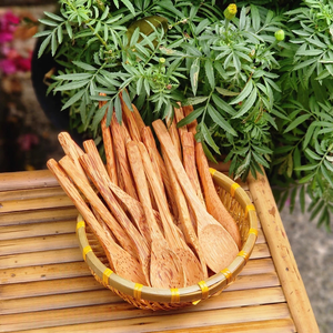 ชุดเครื่องใช้ในครัวขัดเงากระจกช้อนไม้มะพร้าวสำหรับเสิร์ฟและตกแต่งคริสต์มาสจัดส่งรวดเร็ว - Product Image 5