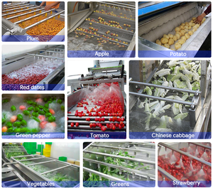 Machine à laver à bande transporteuse à bulles à inclinaison automatique Machine à laver les légumes et les fruits sur le toit pour évier - Product Image 6