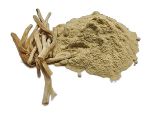 Suministro a granel de polvo crudo de extracto puro de Shatavari para la industria de alimentos y bebidas al mejor precio al por mayor - Product Image 2