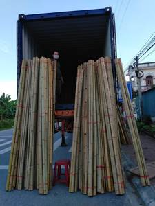 Canne en bambou droite sèche naturelle de haute qualité pour la fabrication de clôtures ou de constructions ou utilisée dans la canne en bambou agricole - Product Image 2