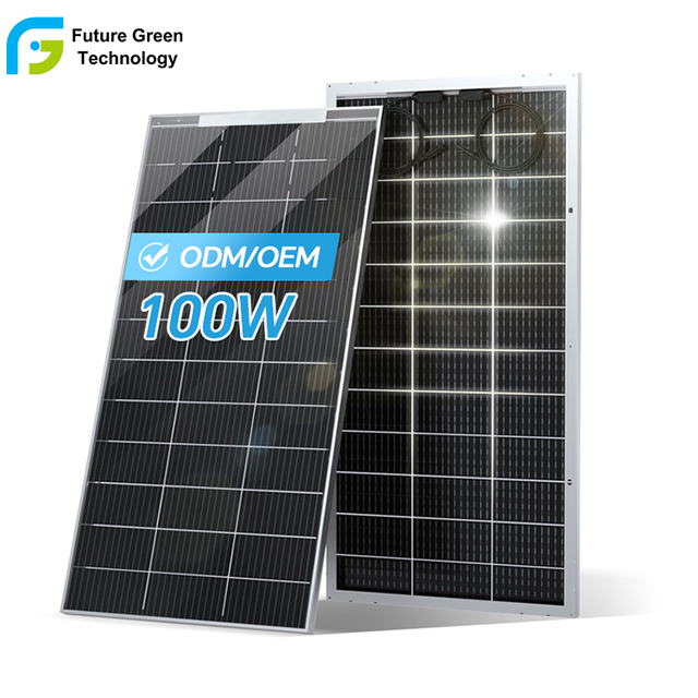 OEM 100W Monocrystalline Solar Panel High Efficiency Hot Selling Customizable Green Energy Saving From China Factory