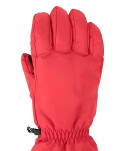 สูงคุณภาพที่ดีที่สุดอัตราการแข่งขันฤดูหนาวหิมะฤดูหนาวถุงมือผู้ชายที่อบอุ่นกันลมกันน้ําสําหรับถุงมือสกีที่ดีที่สุดคุณภาพต่ําอัตรา - Product Image 6