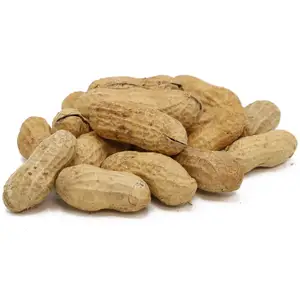 Melhor grau Groundnut Tamanho Diferente de Contagens e Bom Gosto de Amendoim De Snacks Saudáveis Exportador Embalagem Personalizada