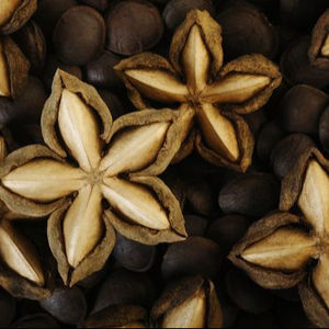 Huile Sachi d'exportation de grande quantité avec le prix concurrentiel du Vietnam - Product Image 1