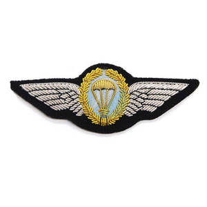 Insignes d'aile les plus vendus sur mesure en stock insignes d'aile les plus populaires insignes d'aile - Product Image 6