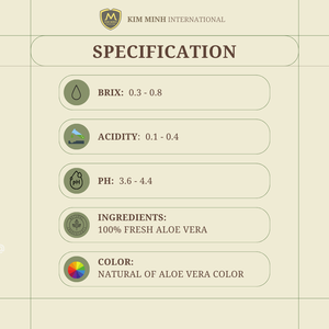 Purée d'Aloe Vera Congelée IQF Pulpe d'Aloe Vera Fournisseur en Gros Vietnam - Product Image 3