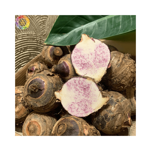 Taro Entier Épluché IQF Premium / Taro en Bâtonnets / Demi-Racines de Taro Congelées de Haute Qualité – Légumes Frais Congelés Prix de Gros - Product Image 1