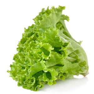 Lechuga Fresca de Primera Calidad, Espárragos de Lechuga, Nueva Cosecha, Proveedor Mayorista, Precio de Fábrica Competitivo, Precios con Descuento - Product Image 1