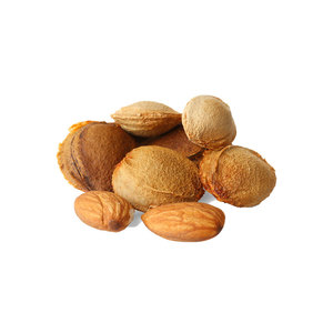 Organic <b>Apricot</b> <b>Kernels</b> | Dry Cleaned Nuts for Herbal and Culinary Use - Product Image 1