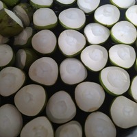 Coco Fresco Rico en Proteínas, Volumen de 250 a 300 ml por Pieza, Cocos Jóvenes Frescos con Forma de Diamante o Forma Pulida