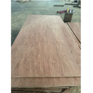 ตู้ไม้อัดหน้าบิงตันกันน้ำมีแกนยูคาลิปตัสตรงจากโรงงานเวียดนาม - Product Image 3