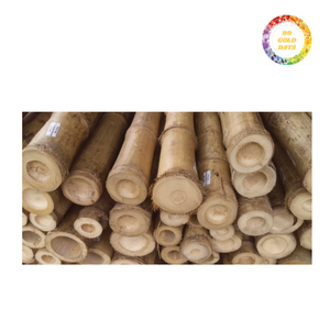 Poteaux de bambou traités coupés à la commande et emballés pour l'expédition dans les chaînes d'approvisionnement d'exportation servant à la décoration extérieure et à l'utilisation industrielle - Product Image 5