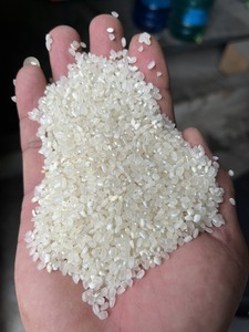 Goodness Vietnamese Healthy Japonica Medium Calrose Rice 5% Grano seco roto Alto nutritivo 5% Arroz roto - Product Image 4
