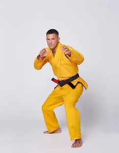 2025 Uniforme de Gi Taekwondo en polyester/coton sur mesure de haute qualité avec couleurs et logo personnalisés - Product Image 3