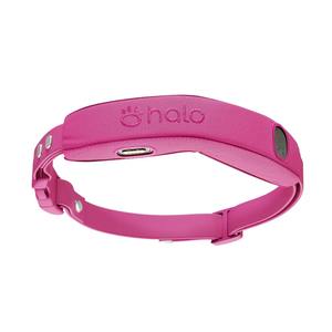 Produit phare : Clôture pour chiens Ha/loS Coll/arS 5 GP_S DogS Fen_ce en aluminium, moderne, livraison rapide - Product Image 3