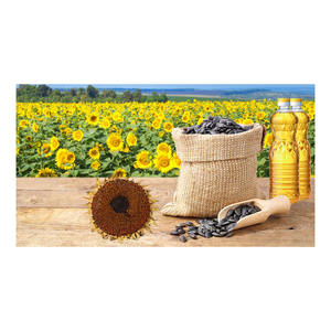 Vinaigrettes parfaites commencent avec base d'huile de tournesol - Product Image 1