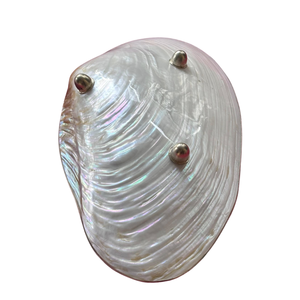 Plats en coquillage artisanaux exquis : grandes assiettes décoratives en nacre, vaisselle en nacre naturelle irisée pour les intérieurs de luxe - Product Image 5