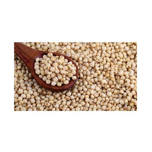 Grains de sorgho de haute qualité en gros, emballés en vrac, à vendre - Product Image 1