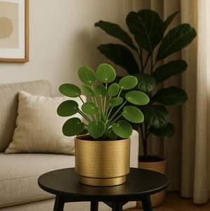 Macetas de Metal con acabado dorado a la moda, forma redonda para el Interior del hogar, mesa, Patio, porche, maceta decorativa de flores - Product Image 1