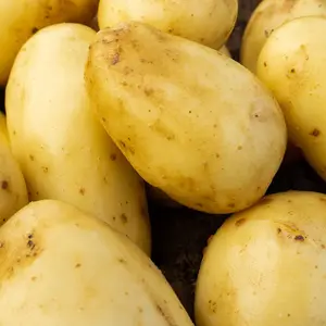 Emerald Essence Potatoes: Essence of Ireland in Every Delicious Bite