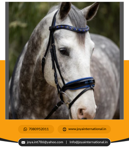 Brida de doma multifuncional ligera de alta calidad, filete de patente inteligente con relleno negro, suministro a granel - Product Image 2