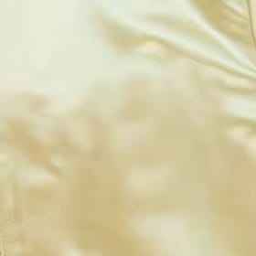 เสื้อแจ็คเก็ตซาฟารีผู้ชายสไตล์วินเทจสำหรับฤดูใบไม้ร่วง แบบมีซิป คอตั้ง ปักลาย กันน้ำ - Product Image 4