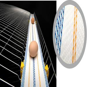UV Anti-Aging yumurta konveyör bant kanatlı çiftlik için yeni kullanılan ısıya dayanıklı naylon Polyester endüstriyel kullanım yumurta toplama sistemi