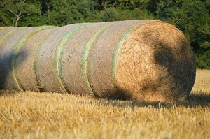 HDPE Anti-UV Bale <strong>Net</strong> <strong>Wrap</strong> Biodegradable <strong>Plastic</strong> Mesh <strong>Pallet</strong> <strong>Nets</strong> for Hay &amp; Agriculture HDPE New Design - Product Image 3